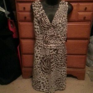 Ladies Dress